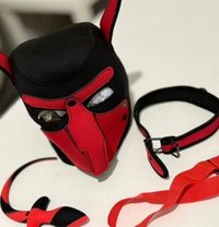 Saran - Dominadora in Lyon