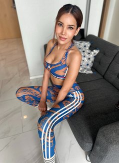Sara sexy ladyboy big cum - Transsexual escort in Bangkok Photo 29 of 30