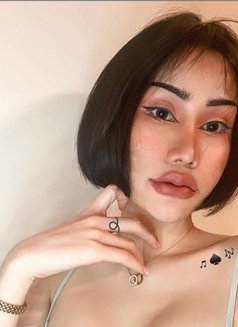 Sarifa both bottom - Transsexual escort in Al Manama Photo 15 of 15