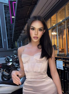 Sarina Both Phuket - Transsexual escort in Phuket Photo 9 of 9