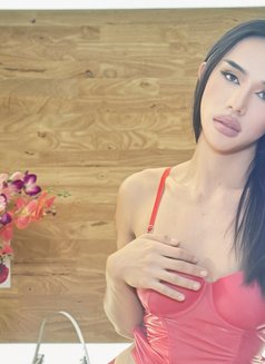 Sarina Both - Transsexual escort in Phuket Photo 8 of 9