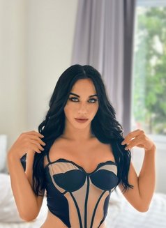 Sarina - Transsexual escort in Phuket Photo 5 of 6
