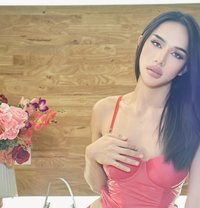 Sarina - Acompañantes transexual in Phuket