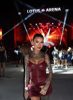 Sarisa - escort in Phuket Photo 10 of 19