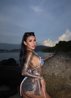 Sarisa - escort in Phuket Photo 16 of 18