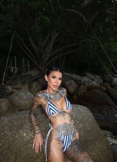 Sarisa - escort in Phuket Photo 18 of 18