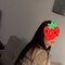 Sarita Now in Doubai - escort in Dubai Photo 4 of 5