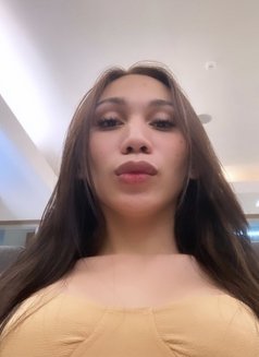 Sarrina Sam - Transsexual escort in Manila Photo 1 of 1