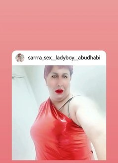 sarrra lady boy sucking. Sex - Transsexual escort in Abu Dhabi Photo 29 of 29