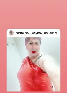 Sarrra Ladyboy Abudhabi - Acompañantes transexual in Abu Dhabi Photo 1 of 8
