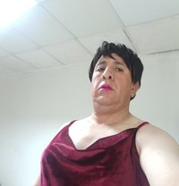 sarrra nina Sex Ladyboy🇫🇷 - Dominadora transexual in Abu Dhabi