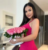 sasa curvy&sexy vip Indonesian gfe - escort in Dubai