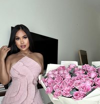 sasa sexy&classy VIP gfe - adult performer in Dubai