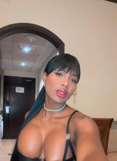 Sasha Belle - puta in Dubai Photo 21 of 25