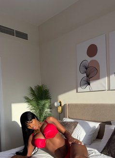 Sasha Belle - puta in Dubai Photo 23 of 25