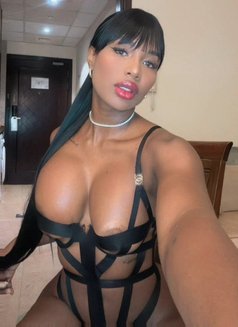 Sasha Belle - puta in Dubai Photo 25 of 25