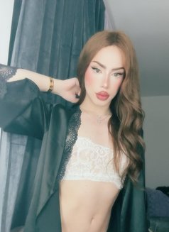 Sasha. Bom - Acompañantes transexual in Stockholm Photo 14 of 14