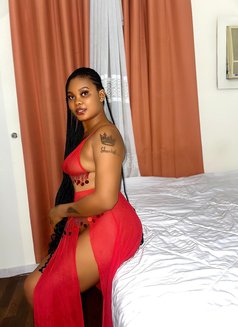 Sasha - escort in Doha Photo 5 of 5