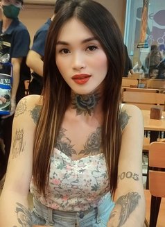 Sasha rose - Transsexual escort in Cebu City Photo 1 of 4