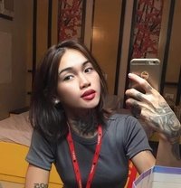 Sasha rose - Transsexual escort in Cebu City