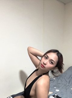 Sasha - escort in Dubai Photo 1 of 1