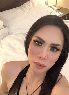 Sasha - Transsexual escort in Dubai Photo 3 of 8