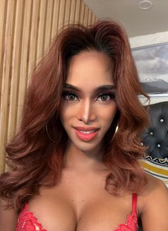 Sasha M - Acompañantes transexual in Manila Photo 6 of 13