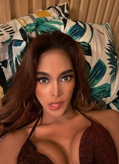 Sasha M - Acompañantes transexual in Manila Photo 8 of 13
