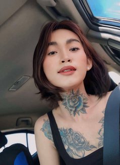 Sasha rose - Transsexual escort in Angeles City Photo 3 of 6