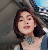 Sasha rose - Transsexual escort in Angeles City
