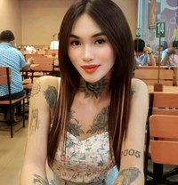 Sasha/Webcam/Content - Transsexual escort in London