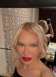 Sasha - Transsexual escort in Riyadh Photo 2 of 2