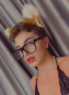 Sasha - Male escort in Riyadh Photo 1 of 3