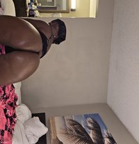 Sasha360 - escort in Nassau