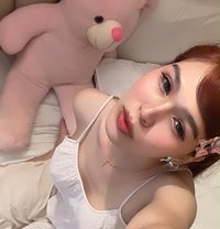 Sasi - Acompañantes transexual in New Delhi