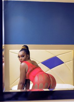 SASSY SASHA - Transsexual escort in Accra Photo 1 of 6