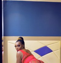 SASSY SASHA - Transsexual escort in Accra