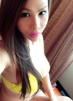 Sassy Girl Abhie - Transsexual escort in Hong Kong Photo 10 of 10