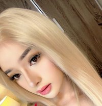 Sassy Maine - Transsexual escort in Hamilton, Canada