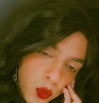 Sassy Sasha - Transsexual escort in Bangalore