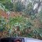 Satya - Male escort in Hyderabad
