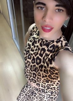 Asia - Transsexual escort in Cairo Photo 2 of 4