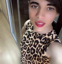 Asia - Transsexual escort in Cairo