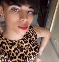Asia - Transsexual escort in Cairo