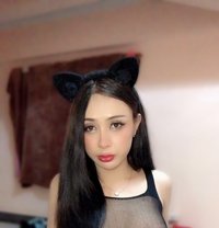 Saudi - Transsexual escort in Pattaya