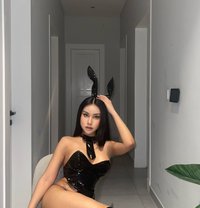 Saudi - Transsexual escort in Riyadh