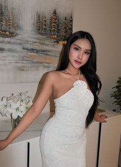 Saudi - Transsexual escort in Riyadh Photo 17 of 18