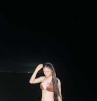 Savana (Meet & Cumshow) just arrived - escort in Taipei