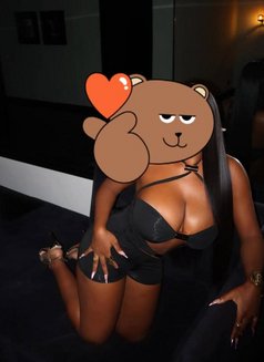 Savana - puta in Indore Photo 4 of 4