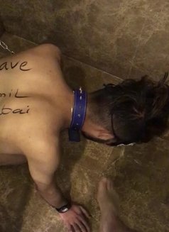 Savin - Male escort in Tokyo Photo 1 of 3